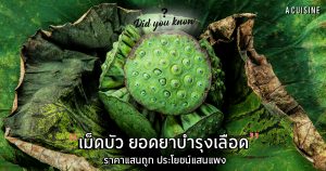เม็ดบัว บำรุงเลือด เคล็ดลับอาหาร บัวหลวง วัตถุดิบอาหาร วัตถุดิบพื้นบ้าน