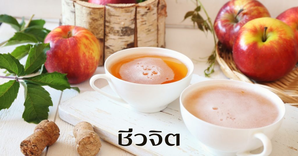 แอปเปิ้ลไซเดอร์, แอปเปิ้ลไซเดอร์วินีการ์, apple cider