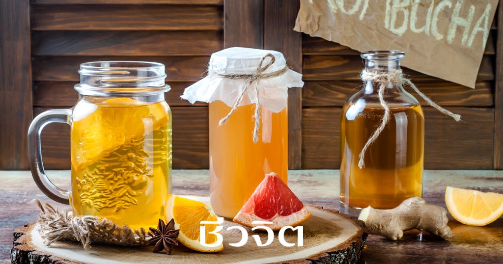 kombucha,คอมบูชา,คอมบูฉะ,ชาหมัก,ชาหมักเพื่อสุขภาพ,เครื่องดื่มเพื่อสุขภาพ