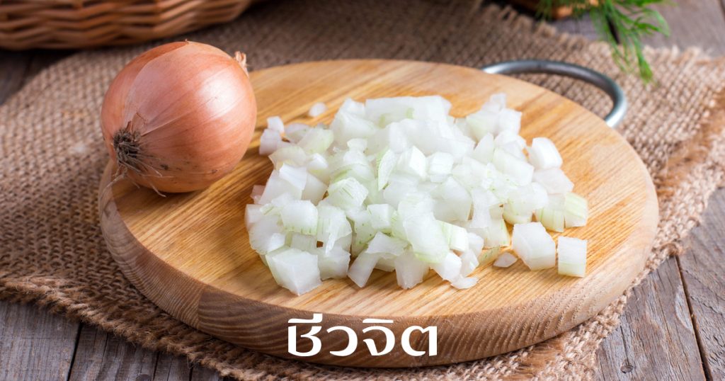 หัวหอม,หอมหัวใหญ่,หอมใหญ่