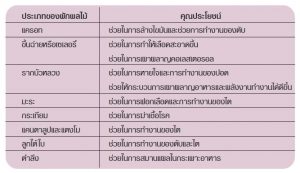 น้ำเอนไซม์, เครื่องดื่มสุขภาพ, ชีวจิต