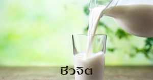 นมวัว แพ้นมวัว ห้ามกินนมวัว ไม่กินนมวัว ภูมิแพ้