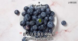 บลูเบอร์รี่ Blueberry