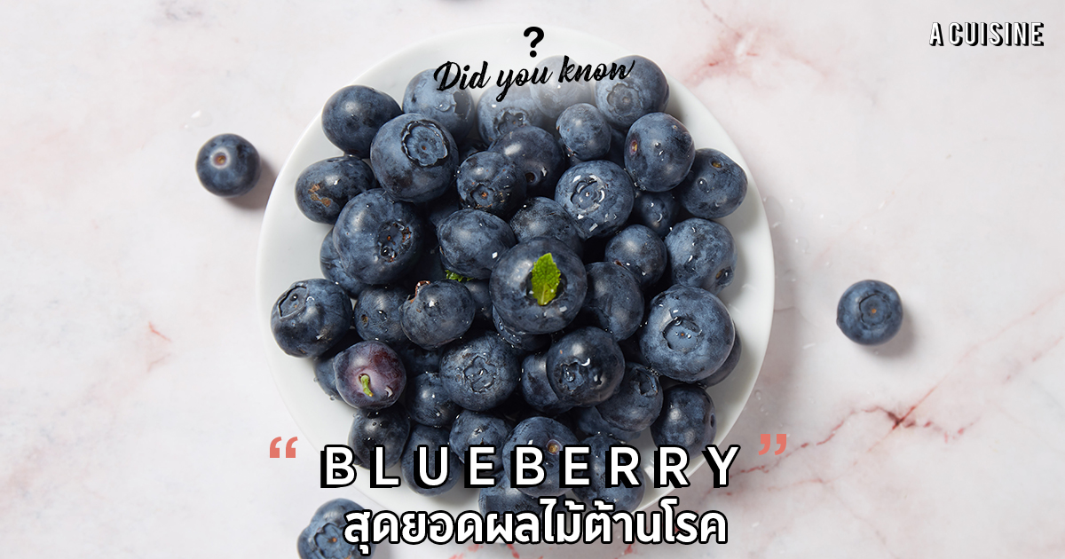 บลูเบอร์รี่ Blueberry