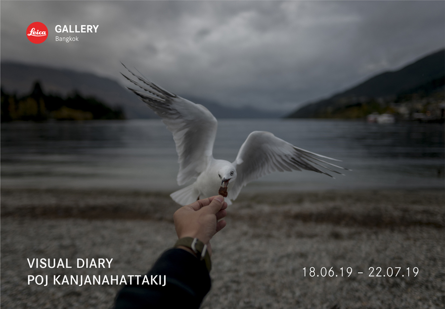 VISUAL DIARY