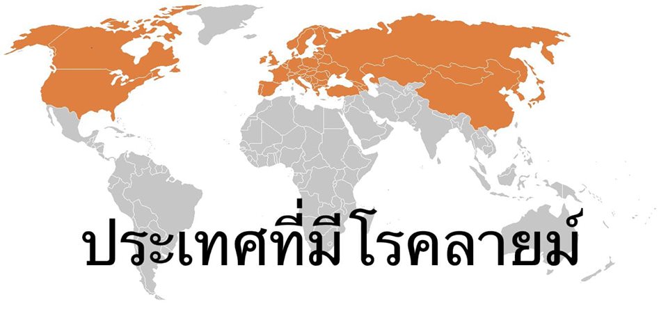 แผนที่ โรคติดต่อ โรคไลม์ โรคลายม์