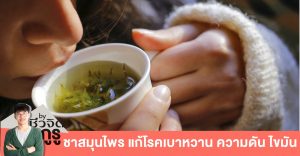 สมุนไพร ป้องกัน NCDs