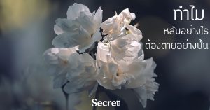 หลับอย่างไร ตายอย่างนั้น