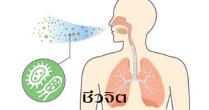 โรคหืด ภูมิแพ้ โรคภูมิแพ้ โรคระบบทางเดินหายใจ