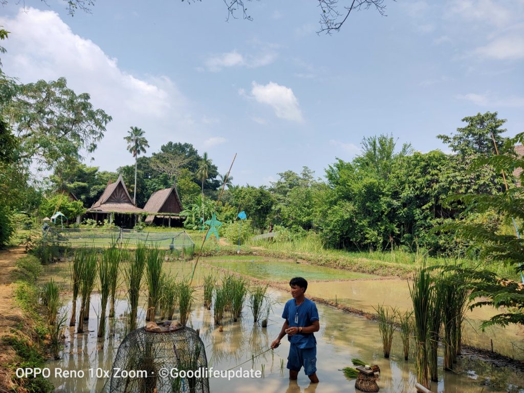 นั่งรถไฟไปนครชัยศรี สวนสามพราน นครปฐม รีวิวท่องเที่ยว สถานที่ท่องเที่ยว