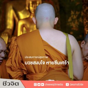 ซึมเศร้า ประสบการณ์สุขภาพ แก้โรคซึมเศร้า ประสบการณ์