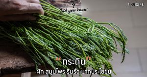 กระถิน