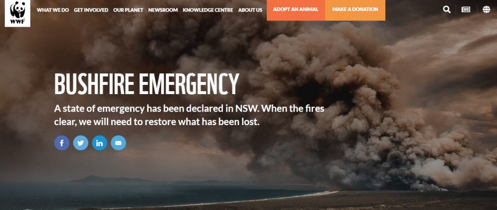 Pray for Australia: รวมลิสต์กองทุนบริจาคช่วยเหลือ ไฟป่าออสเตรเลีย (Australia's bushfire)