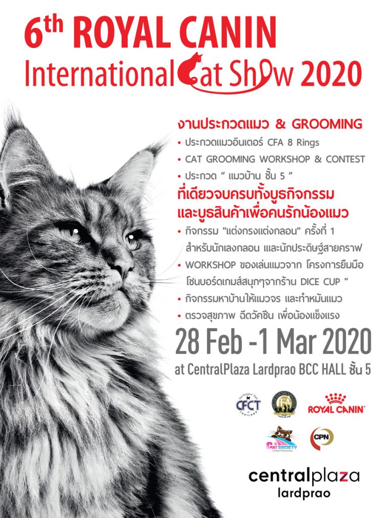 Cat Show