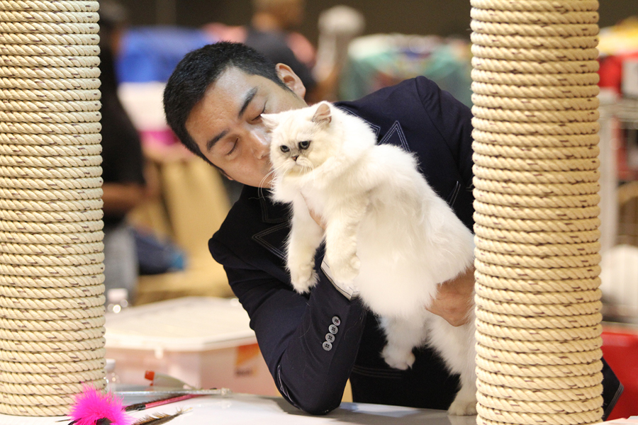 Cat Show