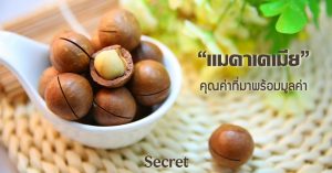 แมคาเดเมีย