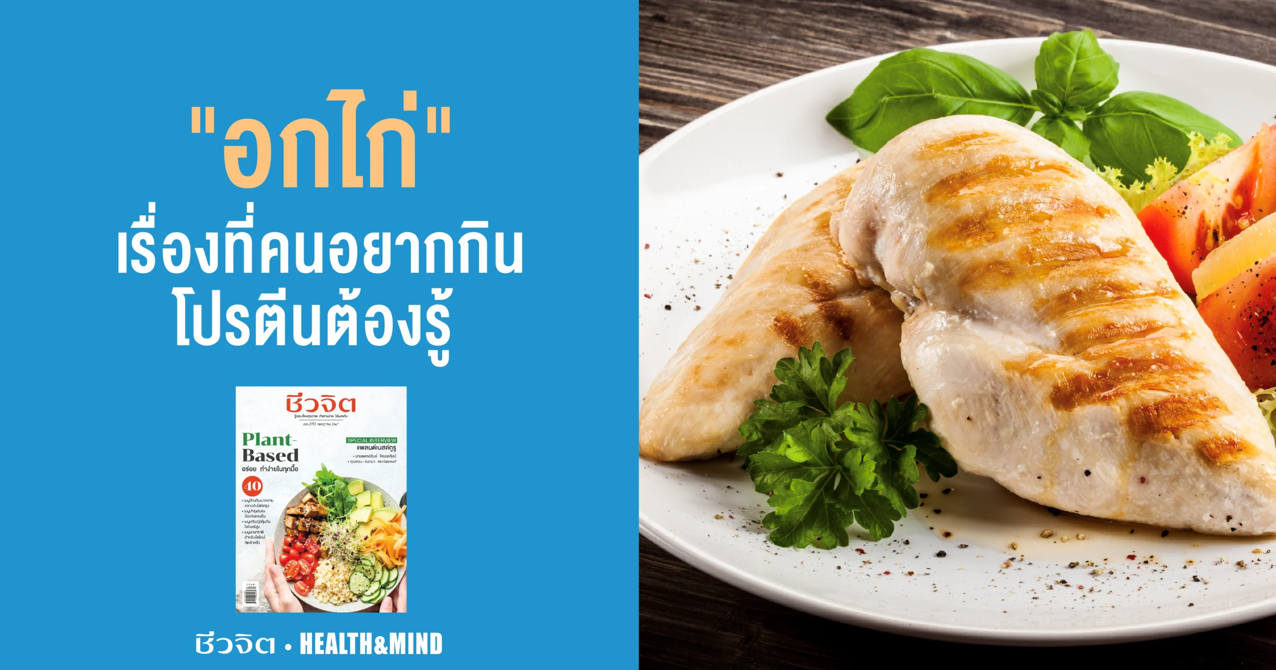 อกไก่