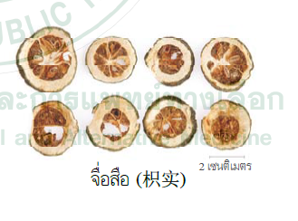 ซุปชิงเฝ่ย ผายตู่ (Qingfei Paidu)