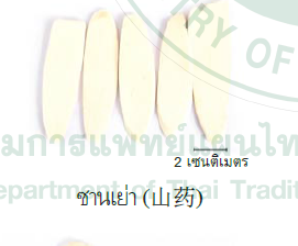 ซุปชิงเฝ่ย ผายตู่ (Qingfei Paidu)