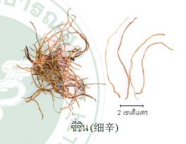 ซุปชิงเฝ่ย ผายตู่ (Qingfei Paidu)