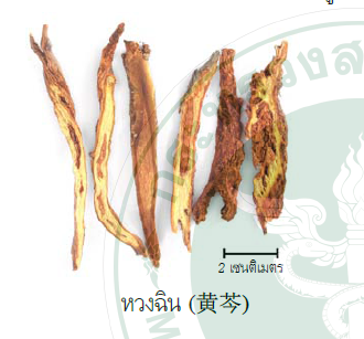 ซุปชิงเฝ่ย ผายตู่ (Qingfei Paidu)