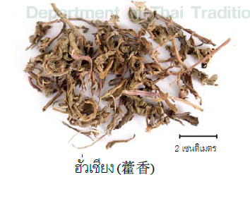 ซุปชิงเฝ่ย ผายตู่ (Qingfei Paidu)