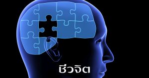โรคสมองเสื่อม สมองเสื่อม อัลไซเมอร์ โรคสมอง โรคขี้หลงขี้ลืม สมอง