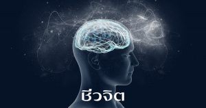 โรคสมองเสื่อม สมองเสื่อม อัลไซเมอร์ โรคสมอง โรคขี้หลงขี้ลืม สมอง