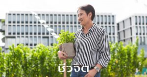 Sansiri Backyard