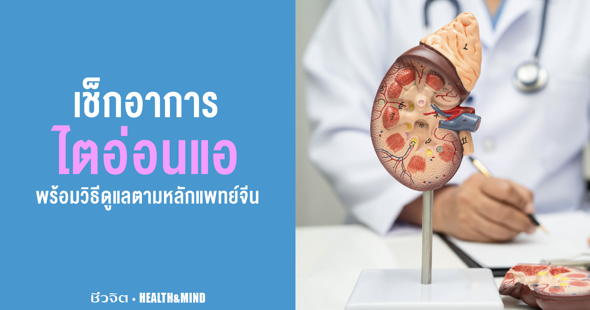 เช็กซิ อาการไตอ่อนแอ พร้อมวิธีดูแลตามหลักแพทย์จีน อาการไตอ่อนแอ