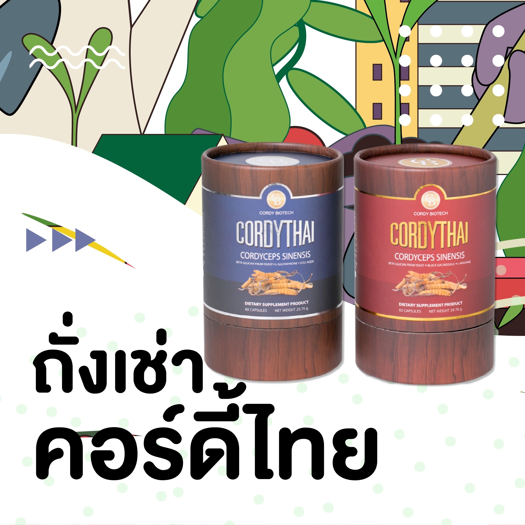 ถั่งเช่าคอร์ดี้ไทย