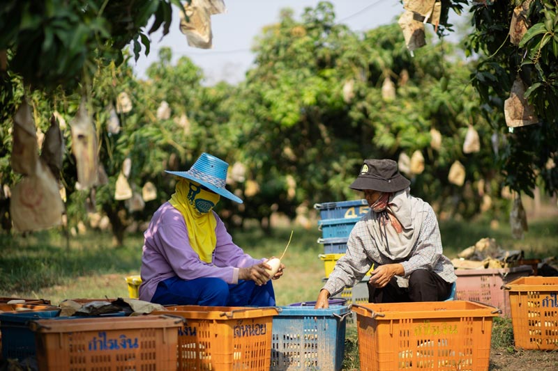 เซ็นทรัล พิษณุโลก