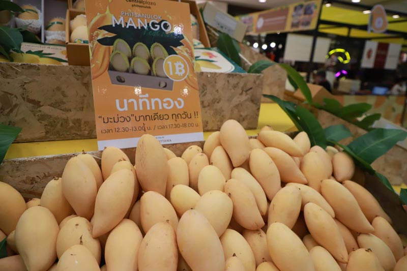 Phitsanulok Mango Fest 2022