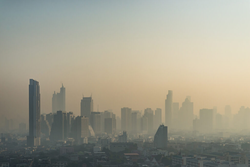 ฝุ่น PM 2.5 ปัญหาสุขภาพ ทำลายภูมิคุ้มกัน
