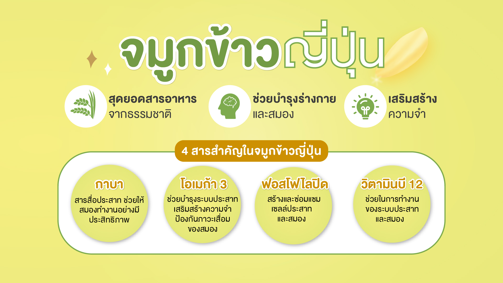 จมูกข้าวญี่ปุ่น กาบา โอเมก้า 3 ฟอสโฟไลปิด วิตามินบี 12