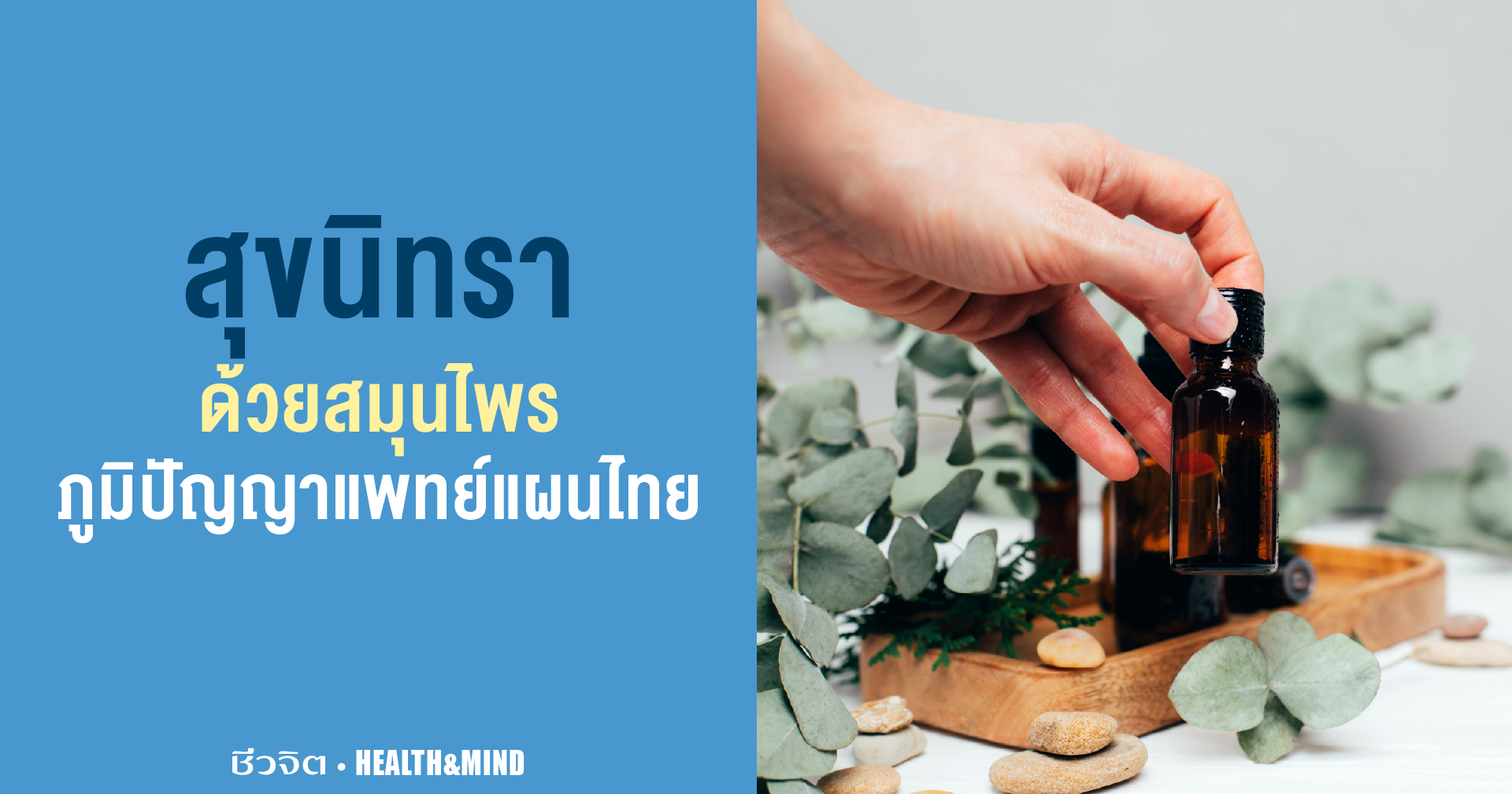 ภูมิปัญญาการแพทย์แผนไทย