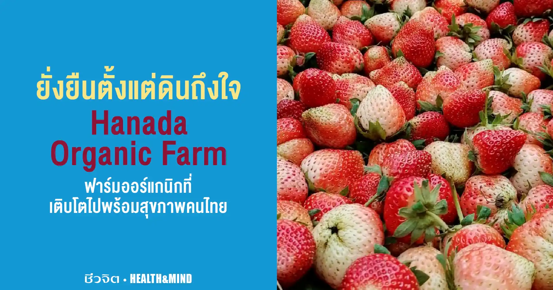 ยั่งยืนตั้งแต่ดินถึงใจ Hanada Organic Farm