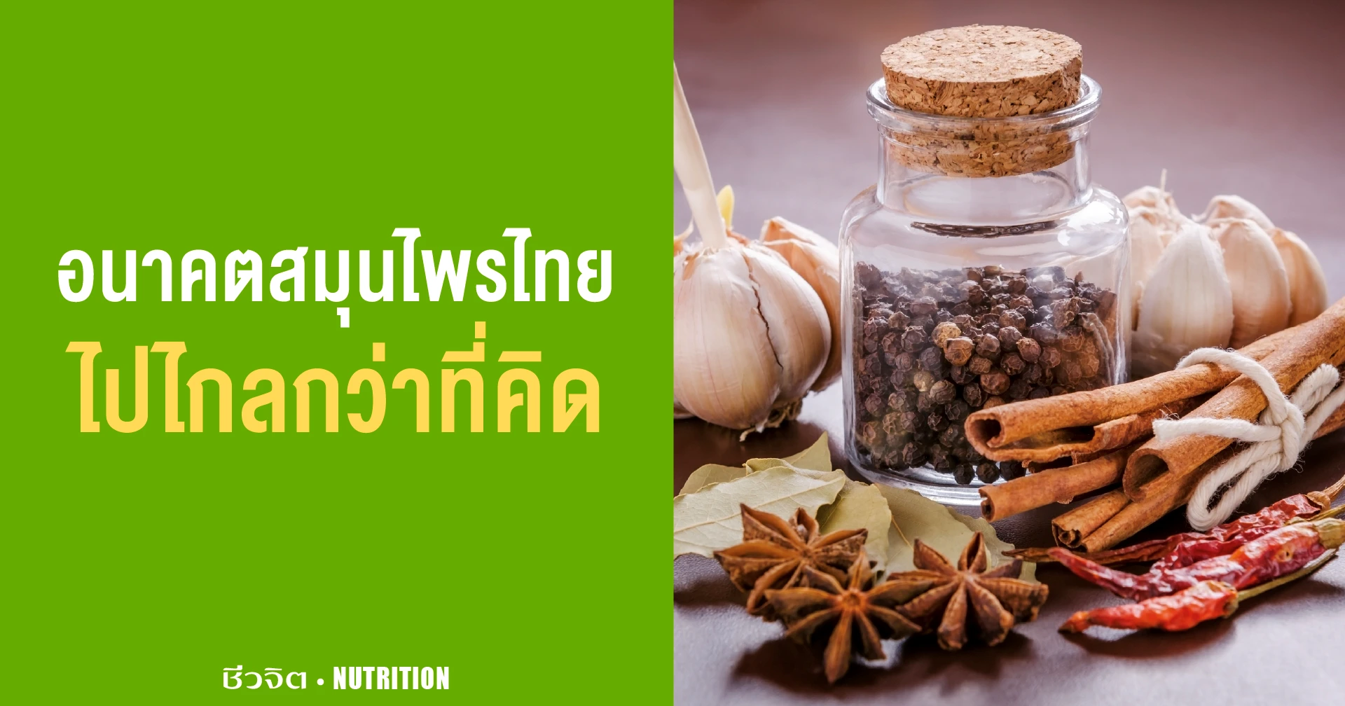 อนาคต สมุนไพรไทย ไปไกลกว่าที่คิด